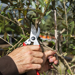FELCO 11 Secateurs