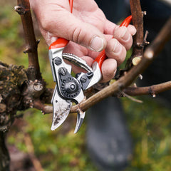 FELCO 14 Secateurs