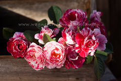 Scentimental - Potted Rose