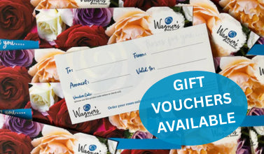 Gift Vouchers