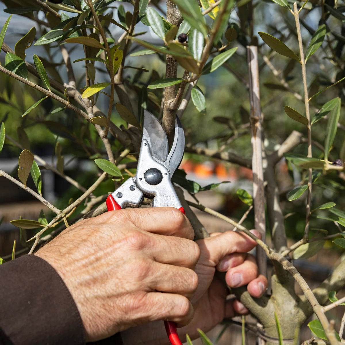 FELCO 11 Secateurs