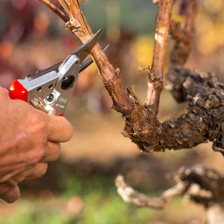 FELCO 6 Secateurs