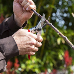 FELCO 11 Secateurs