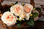 Shirley's Rose™