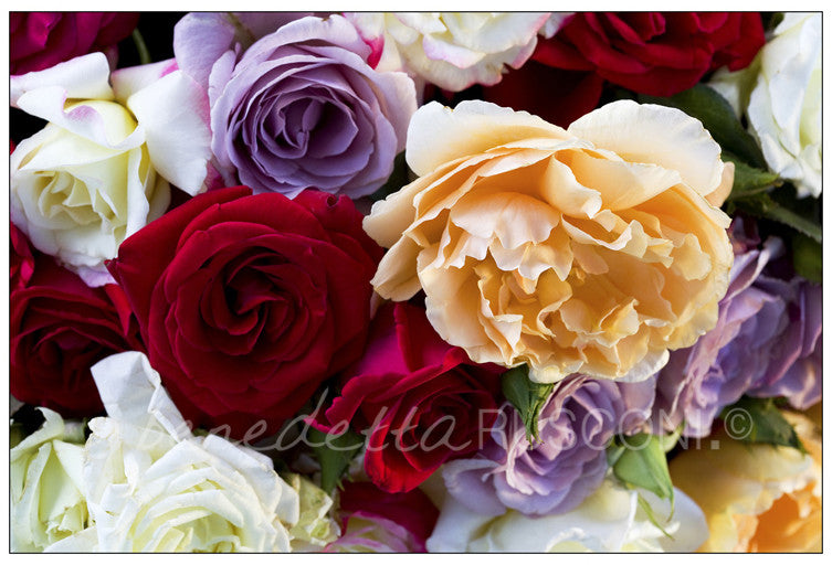 Bouquet Tre