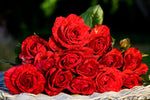 Red Intuition™